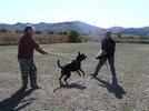Andros