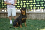 Asko