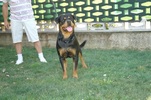 Asko
