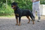 Carlos