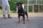 Carlos