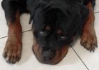 Carlos