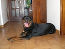 Fabiana