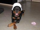 Lola
