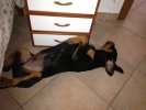Maicon