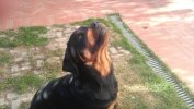 Marley