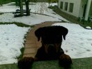Nikita