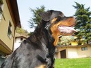 Olga