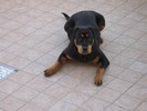 Zina