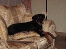 Zina