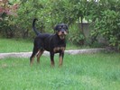 Zina