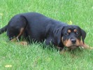 Zina
