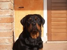 Zoe