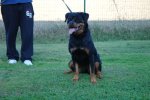 Perka