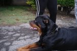Fabiana