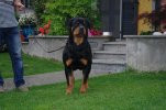 Orma