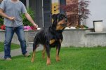 Orma